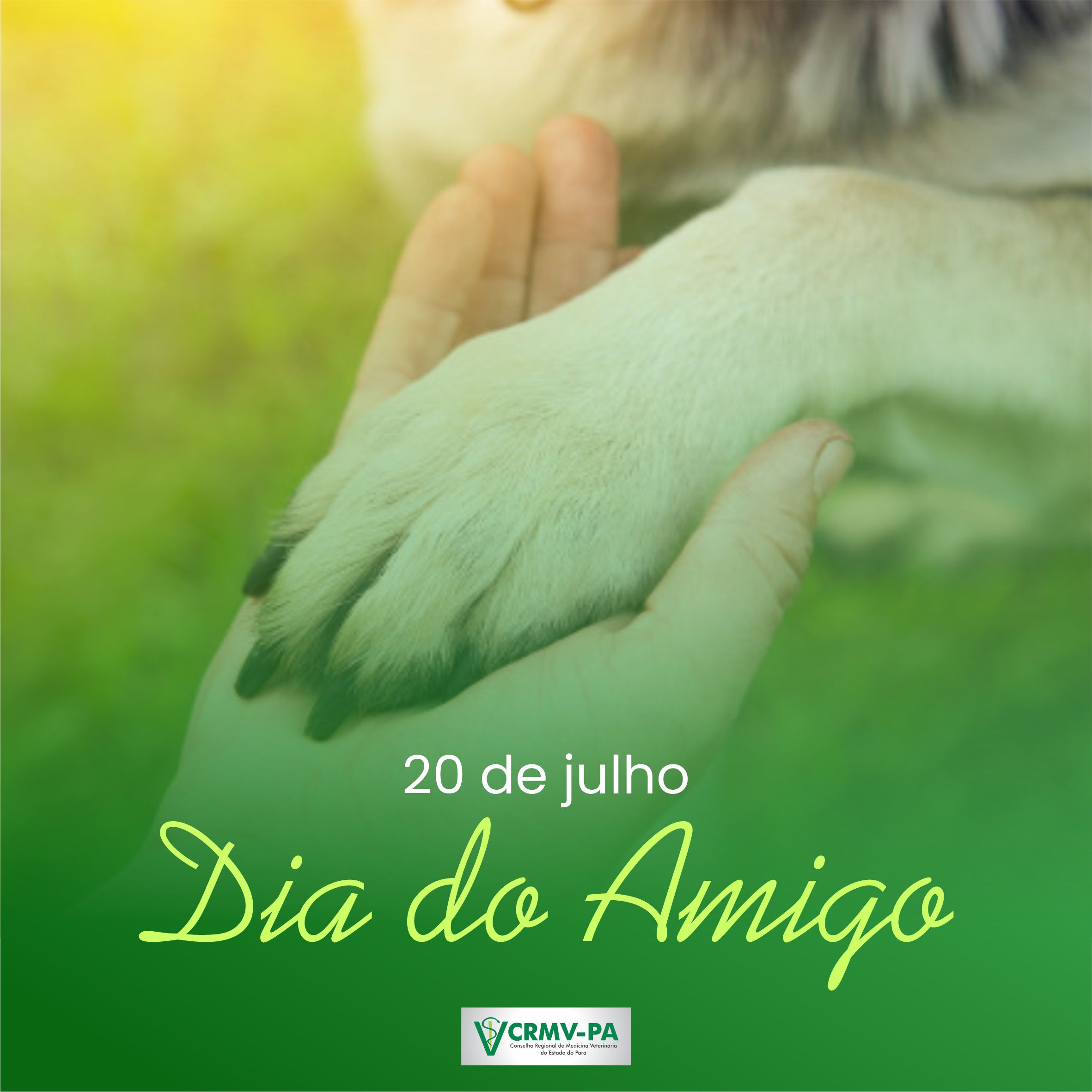 20 de Julho - Dia do Amigo