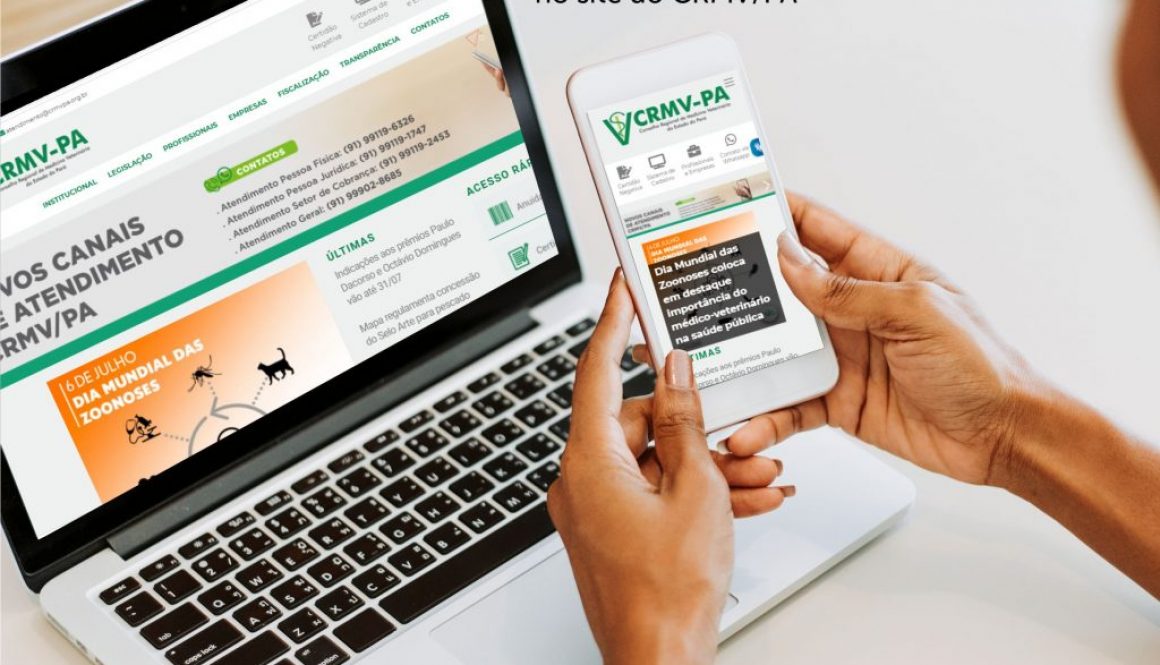 servicos online