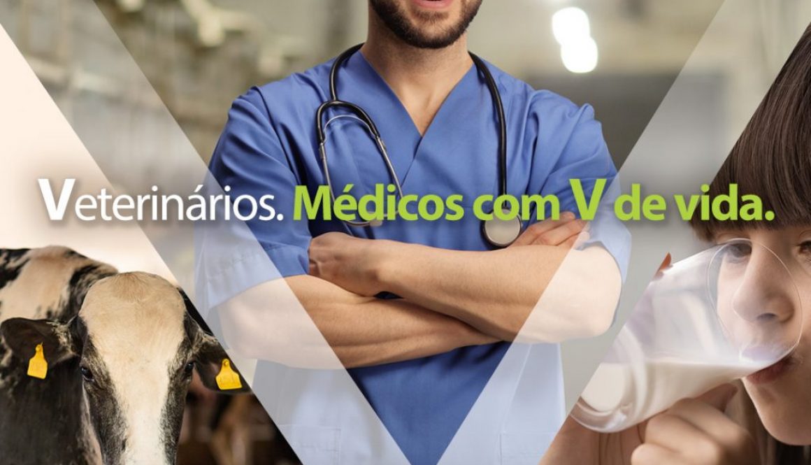 Post-Veterina╠ürios
