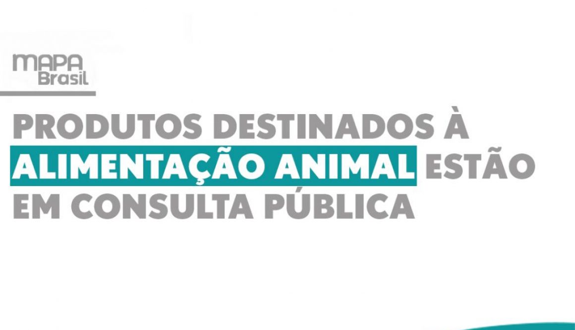 consulta publica