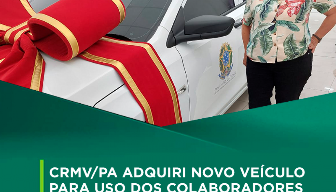 automovel