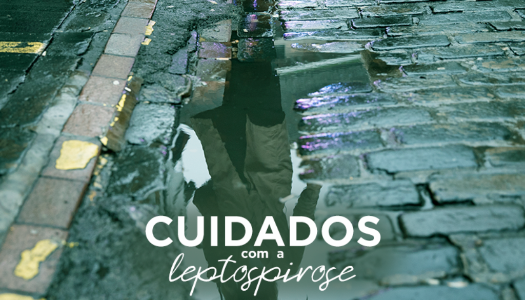 lepto_capa