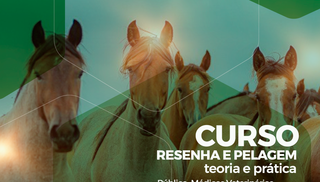 divulgaçao-resenhaepelagem-1