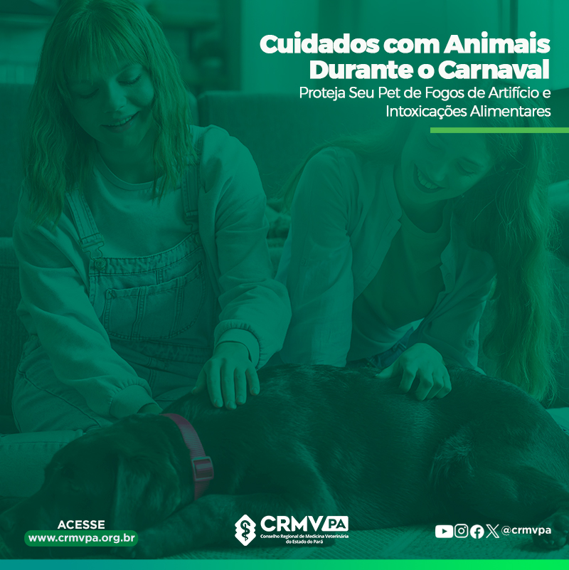 Proteja-Seu-Pet-de-Fogos-de-Artifício-e-Intoxicações-Alimentares.png