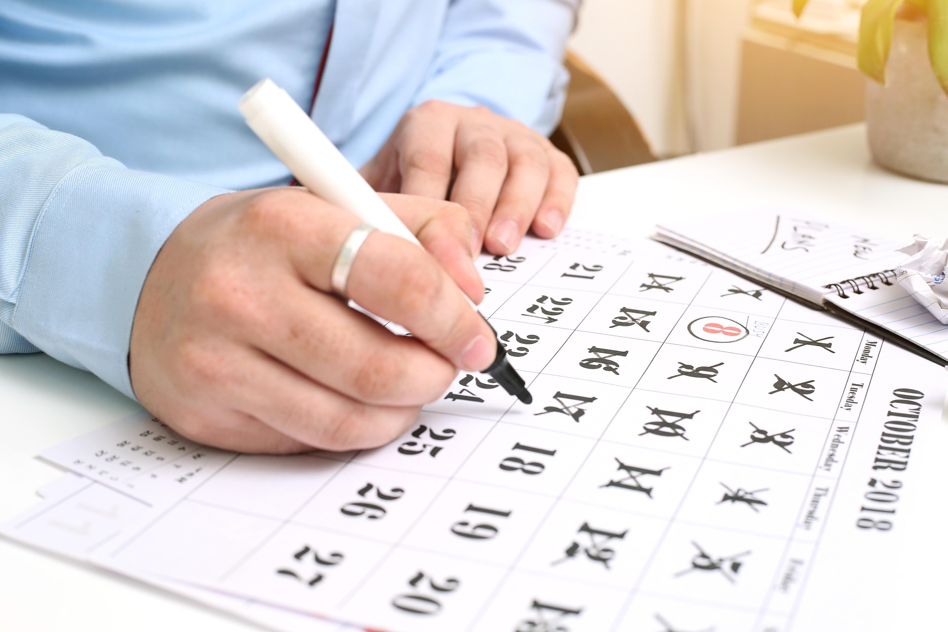 Cronograma Eleitoral