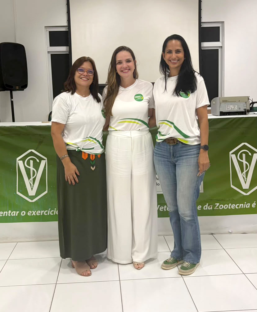 Chapa 2 - Diretoria Executiva